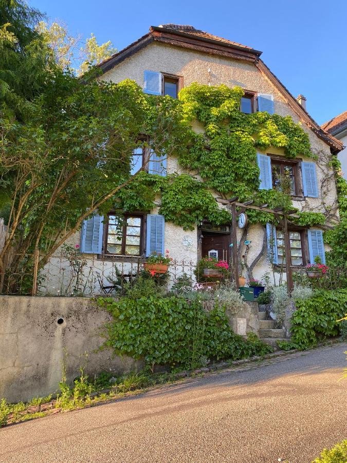 B&B De Charme La Maison Des 5 Temps Ferrette Buitenkant foto