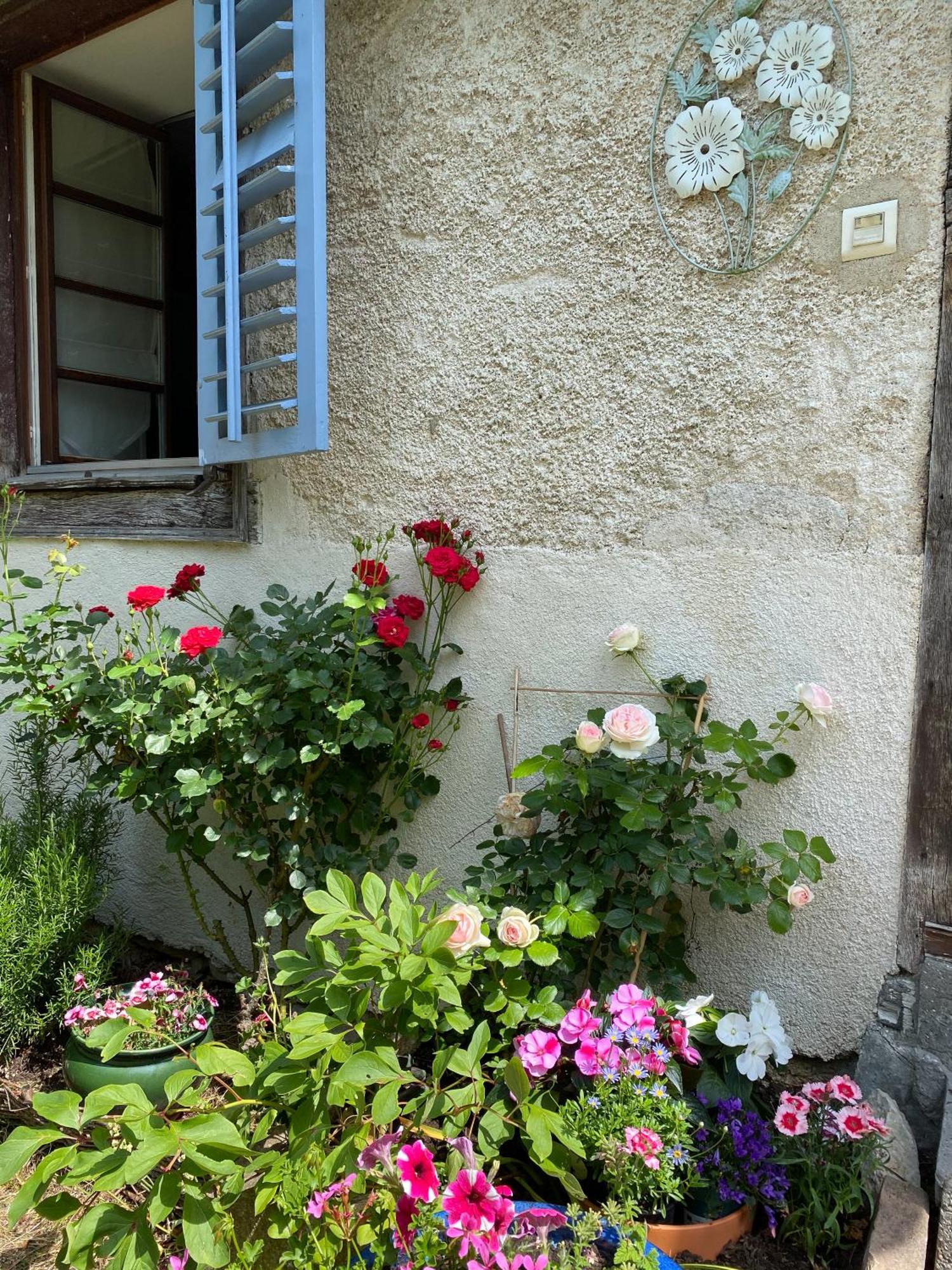 B&B De Charme La Maison Des 5 Temps Ferrette Kamer foto